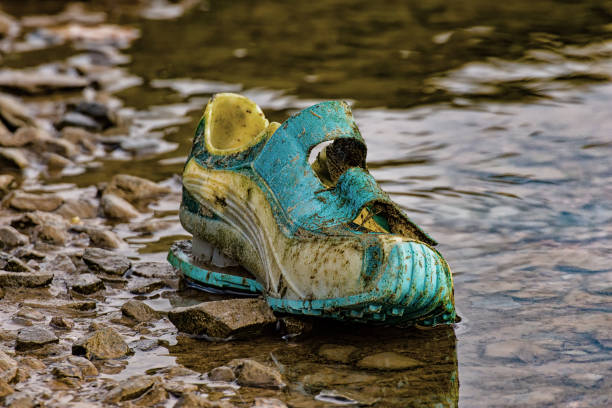 istock Old Shoe at the Lake 638433374