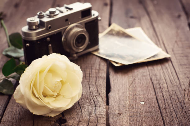 istock Yellow  rose, old photos and camera. Tinted, copy space 638437208