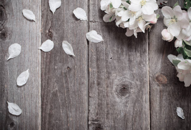 istock apple flowers on wooden background 638437752