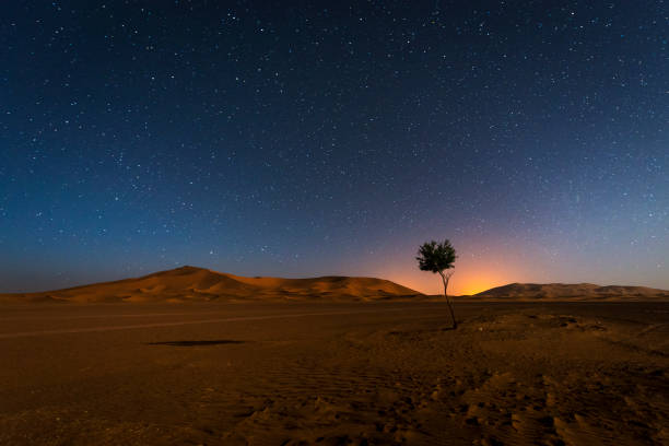 모로코의 에르그 체비( erg chebbi) 앳 모로코 앳 나이트 에 스타 - desert landscape morocco sand dune 뉴스 사진 이미지