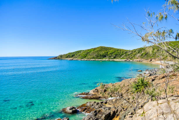 Pristine shoreline with clear blue water at Noosa National Park, Queensland, Australia