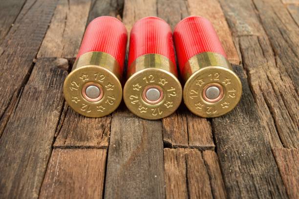 istock Red hunting cartridges for shotgun 638443996