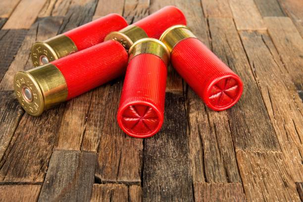 istock Red hunting cartridges for shotgun 638444004