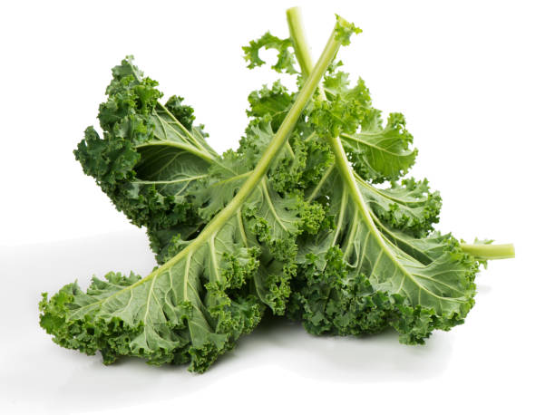 istock Raw leaves of kale. 638444082
