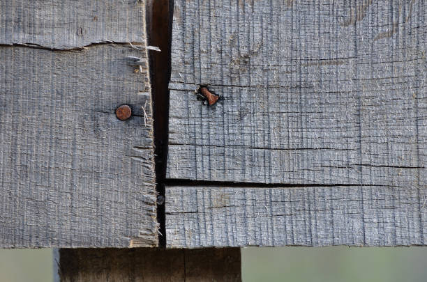 istock nail in gnarled wooden board 638445358