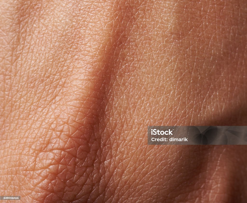 Cellules sur la peau de la femme - Photo de Effet de texture libre de droits