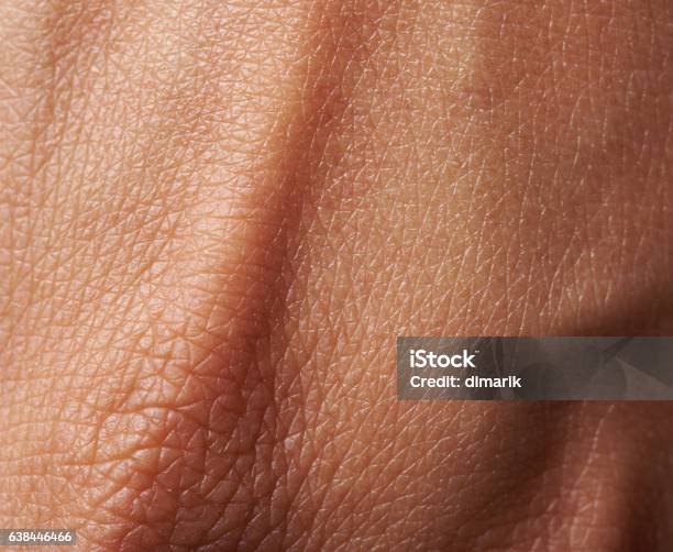 Cells On Woman Skin Stock Photo - Download Image Now - Textured Effect, Textured, Close-up