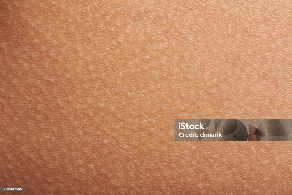 goose bumps on human skin Goose bumps on human skin closeup. Tecture of skin with goose bumps Textured Stock Photo