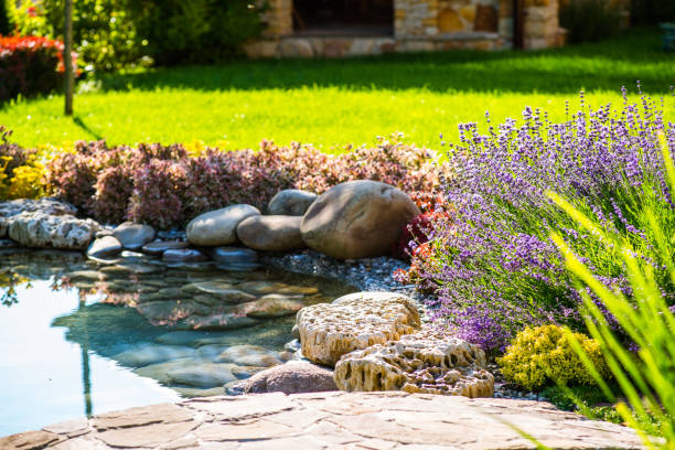 Beautiful backyard landscape design. View of colorful trees and decorative Beautiful backyard landscape design. View of colorful trees and decorative trimmed bushes and rocks waterfall garden park stock pictures, royalty-free photos & images
