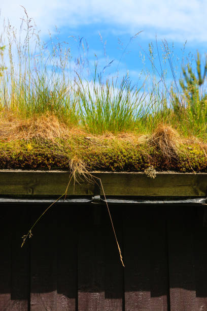 istock Norwegian house with grass roof 638449300