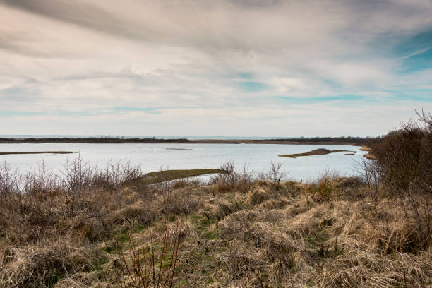 nature area in Holland