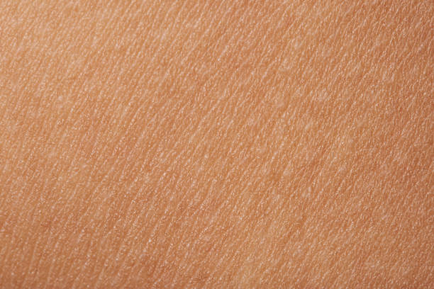 istock Macro of human skin 638450222