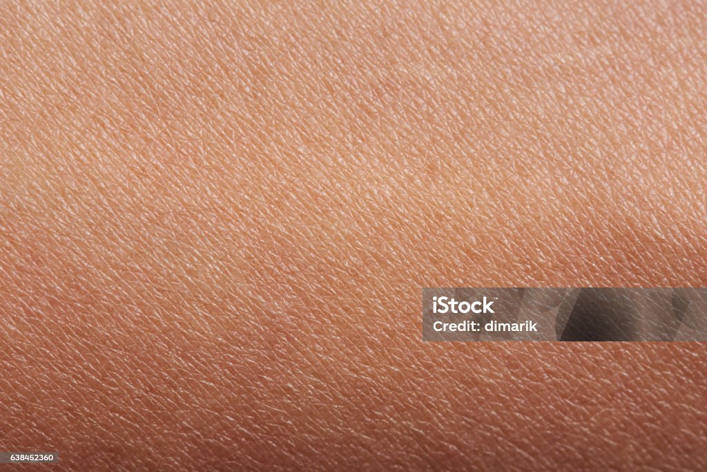 Motif de la peau humaine - Photo de Effet de texture libre de droits