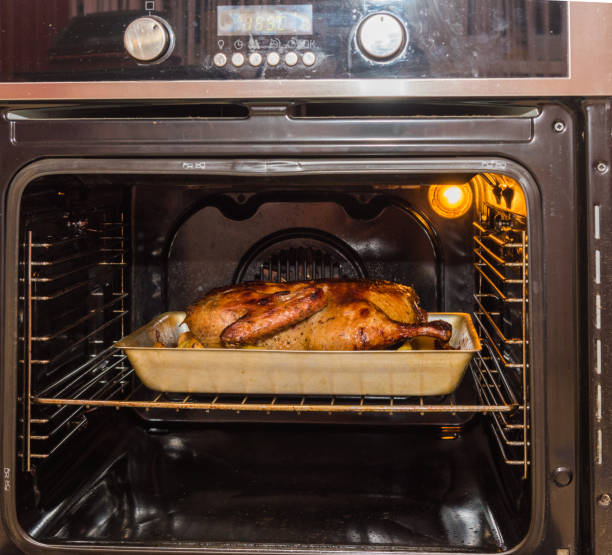istock roast goose for the holiday 638452576