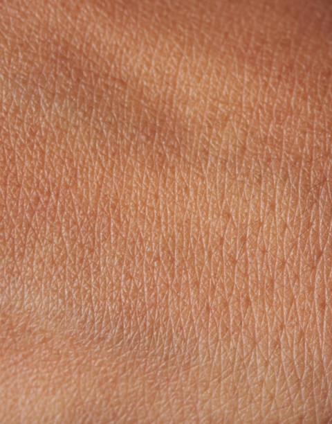 istock Pores on human skin 638452594