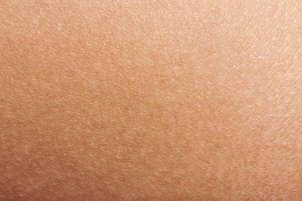 peau de la main de la femme - caractéristique dermatologique photos et images de collection