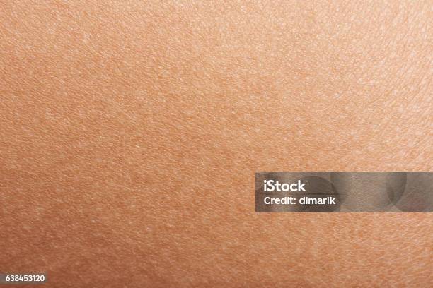 Skin Of Woman Hand Stock Photo - Download Image Now - Textured, Textured Effect, Close-up