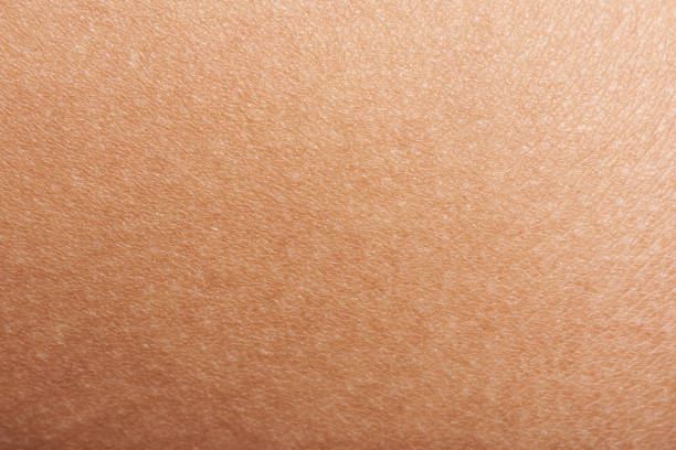 skin of woman hand - 人類的皮膚 個照片及圖片檔
