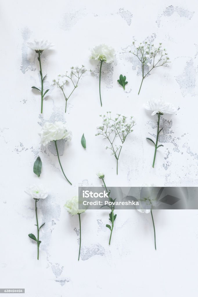 Pattern made of white flowers on gray background. Flat lay Flowers composition. Pattern made of white flowers on gray background. Flat lay, top view Flower Stock Photo
