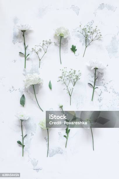Pattern Made Of White Flowers On Gray Background Flat Lay Stock Photo - Download Image Now