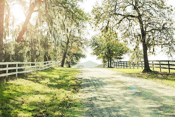 Rural Virginia countryside along the road