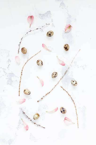 Easter eggs, pink petals and branches. Flat lay, top view