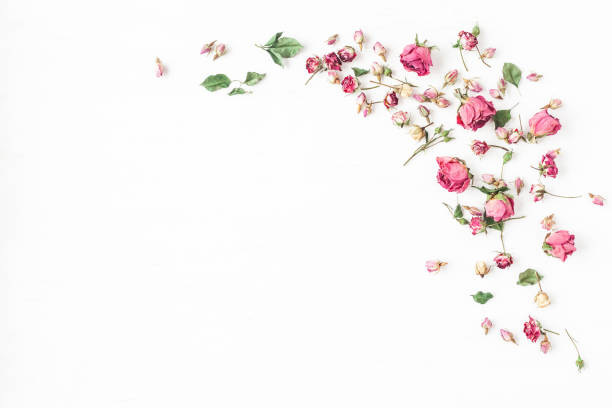 Frame made of dried rose flowers. Flat lay, top view