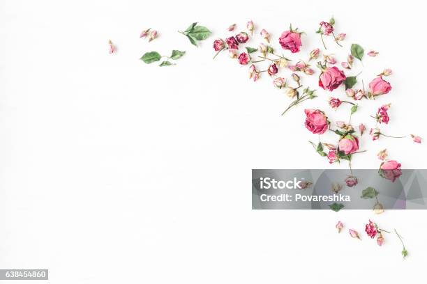 Frame Made Of Dried Rose Flowers Flat Lay Top View Stock Photo - Download Image Now