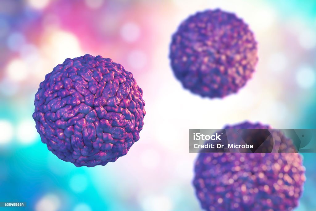 Pegivirus, or Hepatitis G virus Pegivirus, formely called as Hepatitis G virus, 3D illustration. An RNA virus from family Flaviviridae which causes hepatitis Backgrounds Stock Photo