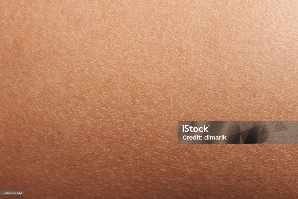 Texture of human skin Texture of human skin closeup with small defects Textured Stock Photo
