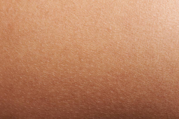 Texture of human skin Texture of human skin closeup with small defects abstract adult body body part stock pictures, royalty-free photos & images
