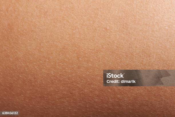 Texture Of Human Skin Stock Photo - Download Image Now - Textured, Textured Effect, Human Skin