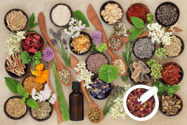 istock Natural Healing Herbs and Flowers 638457564