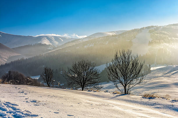 istock foggy morning in winter mountains 638459900