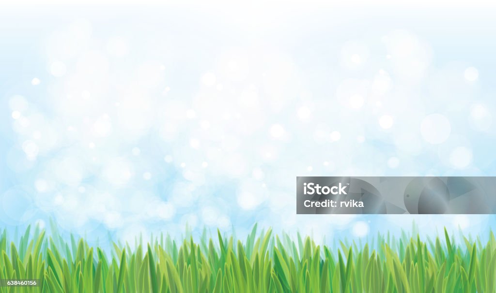 Vector  nature background. Vector  nature background, blue sky and green grass. Blue stock vector