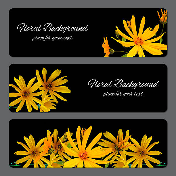 background texture made of yellow sunflower fresh and place for text,  photo manipulation