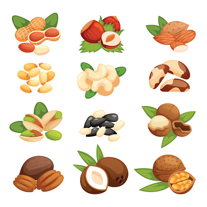 Set of nuts vector illustration. Vegetarian nutrition pistachio ingredient healthy organic food. Agriculture diet nutshell seed snack collection.