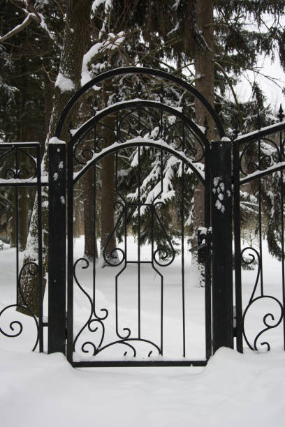 istock Beautiful iron locked gate in winter park 638461750