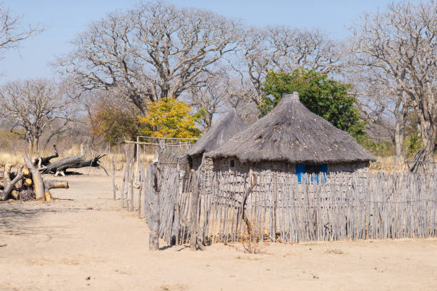 vita rurale in africa, terra boscaglia, namibia - hut africa grass hut mud hut foto e immagini stock