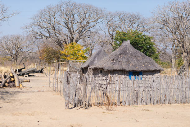 Rural life in Africa, bushman land, Namibia Mud straw and wooden hut with thatched roof in the bush. Local village in the rural Caprivi Strip, the most populated region in Namibia, Africa. thatched roof hut straw grass hut stock pictures, royalty-free photos & images
