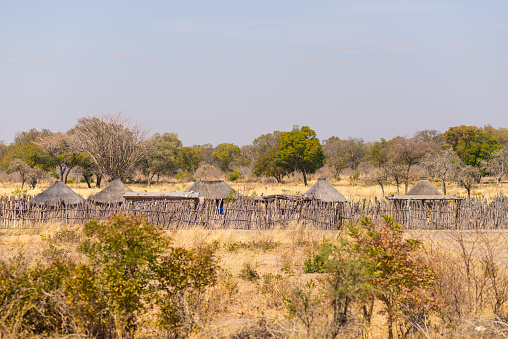 Mud straw and wooden hut with thatched roof in the bush. Local village in the rural Caprivi Strip, the most populated region in Namibia, Africa.