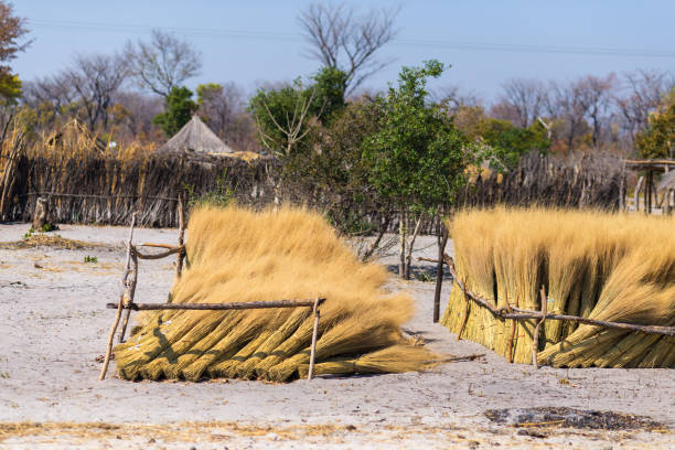 vita rurale in africa, terra boscaglia, namibia - hut africa grass hut mud hut foto e immagini stock