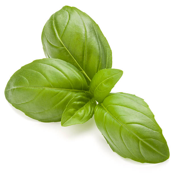 istock Sweet basil herb leaves isolated on white background closeup 638466592