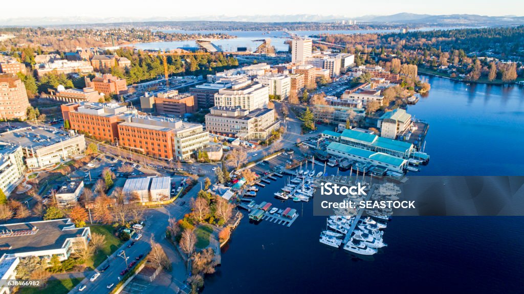 Aerial View of University of Washington Neighborhood School Campus University of Washington Stock Photo