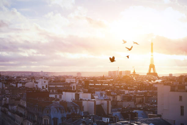 istock beautiful panoramic view of Paris at sunset 638468638