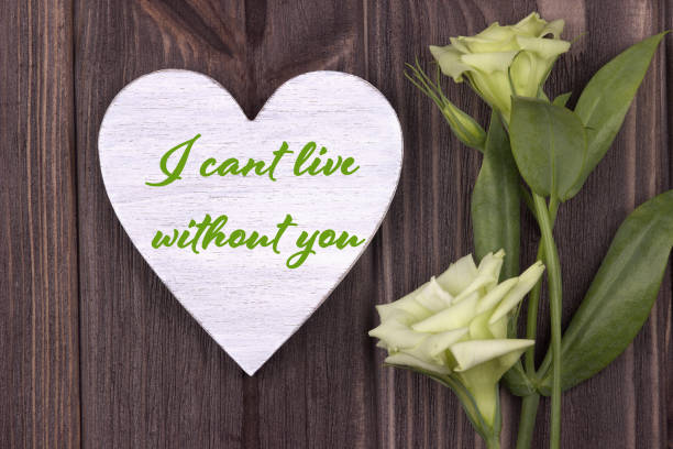 istock Valentine card with text I cant live without you green 638468862