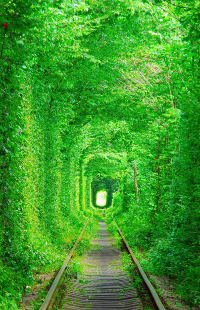 istock Tunnel of lovers, Ukraine. 638469062