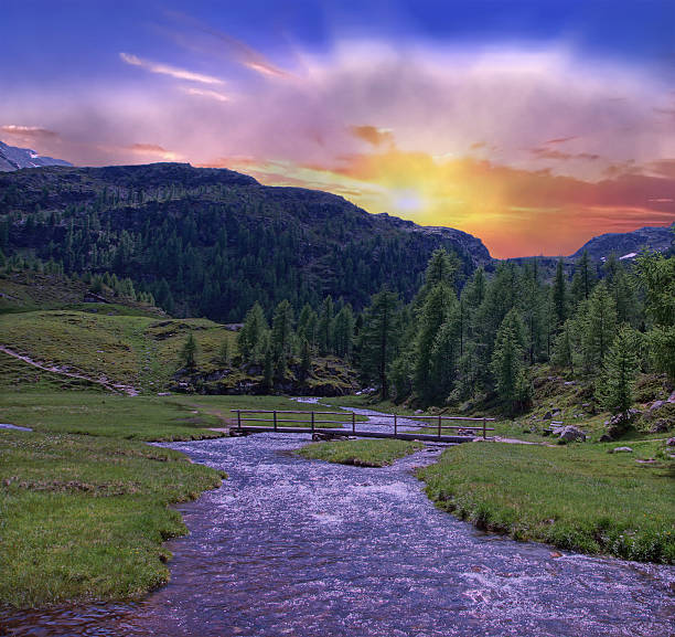 montagna nel sud-tirolo - bergwiese foto e immagini stock