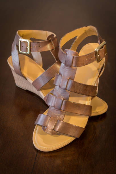 istock Stylish women shoes 638469558
