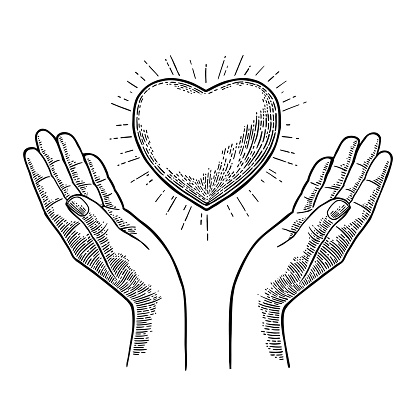 Heart with rays in open female human palms. Vector black vintage engraving illustration isolated on a white background. For web, poster, info graphic.